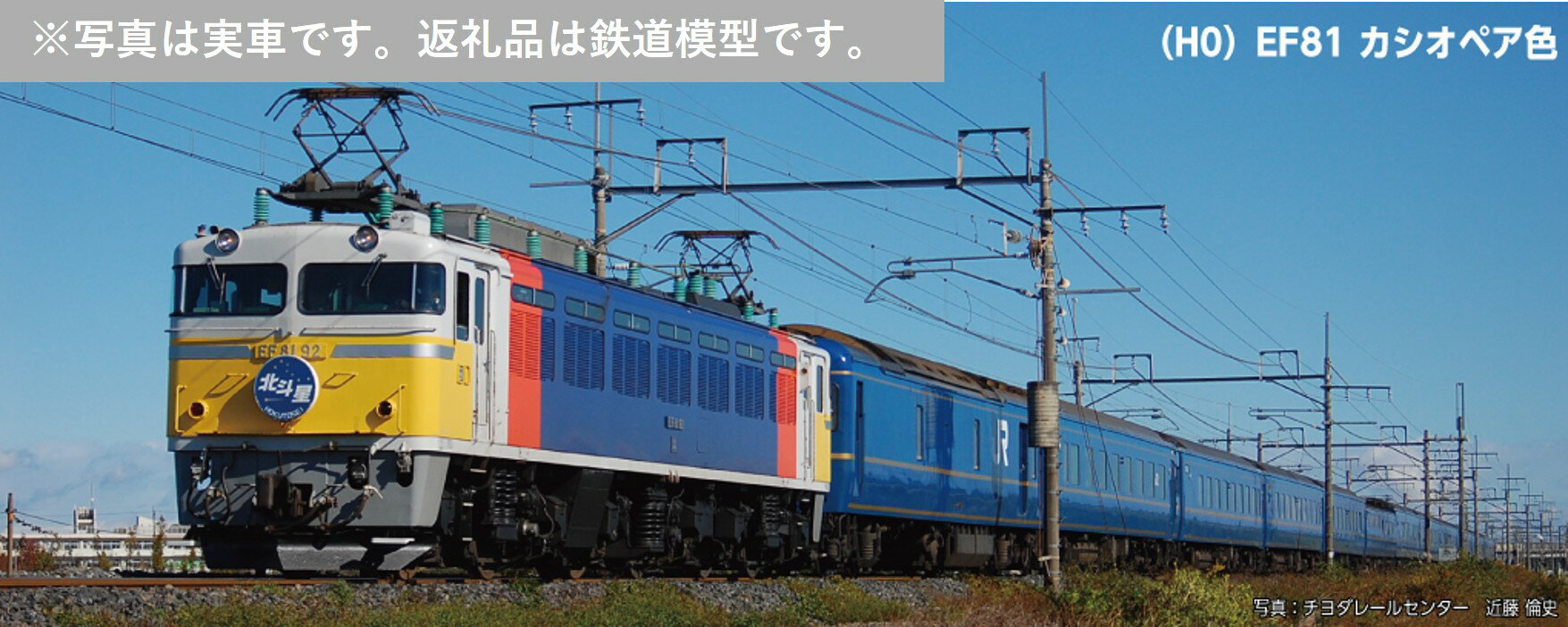 【ふるさと納税】J037-26 鉄道模型【HOゲージ】EF81　カシオペア色