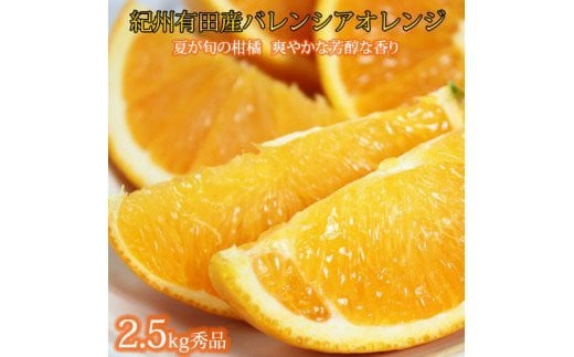 
秀品 希少な国産バレンシアオレンジ 2.5kg【2025年6月下旬頃～2025年7月上旬頃に順次発送】【UT75】
