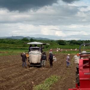 【本格焼酎】南之方　1800mlパック×3パック B6-5【配送不可地域：離島】【1720400】