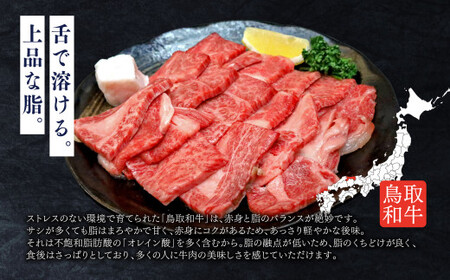 鳥取いなば万葉牛　焼肉用カルビセット　500ｇお肉 肉 牛肉 和牛 鳥取和牛 牛肉 肉 国産 お肉 冷凍焼き肉 焼き肉用 カルビ カルビセット