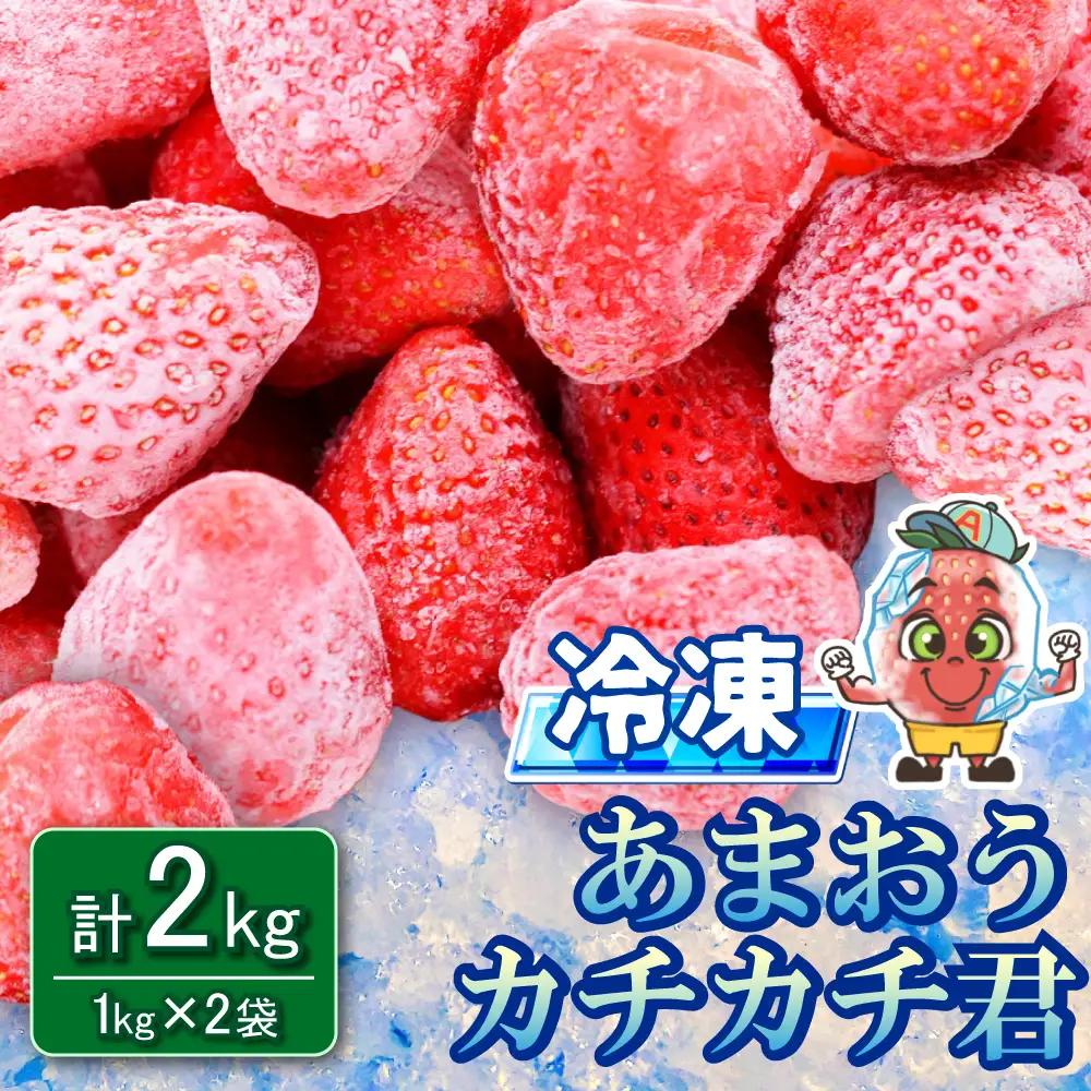 【先行予約／2027年出荷】冷凍あまおう カチカチ君 2kg（1kg×2袋） 3W14