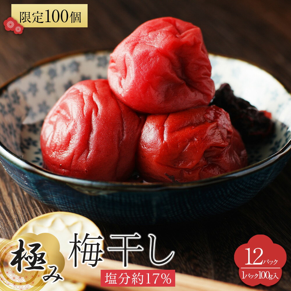 【ふるさと納税】角田市 岸浪園 極み梅干し 塩分約17％ 100g×12パック 限定100個 | 梅干 食品 加工食品 人気 おすすめ 送料無料