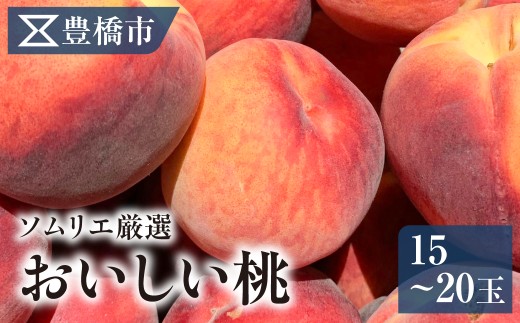 《先行予約》桃 5kg 15～20玉 品種おまかせ 豊橋市産 白桃 産地直送 大一青果 日川白鳳 みさか白鳳 勘助白桃 なつおとめ 川中島白桃 桃 5kg 桃 5kg 桃 5kg 桃 5kg 桃 5kg 桃 5kg 桃 5kg 桃 5kg 桃 5kg 白桃 白桃 白桃 桃 先行予約 桃 先行予約 桃 先行予約 もも もも もも