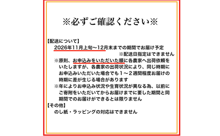 【大粒･2L】有田みかん「未来への虹」（約9kg）(B240-2)