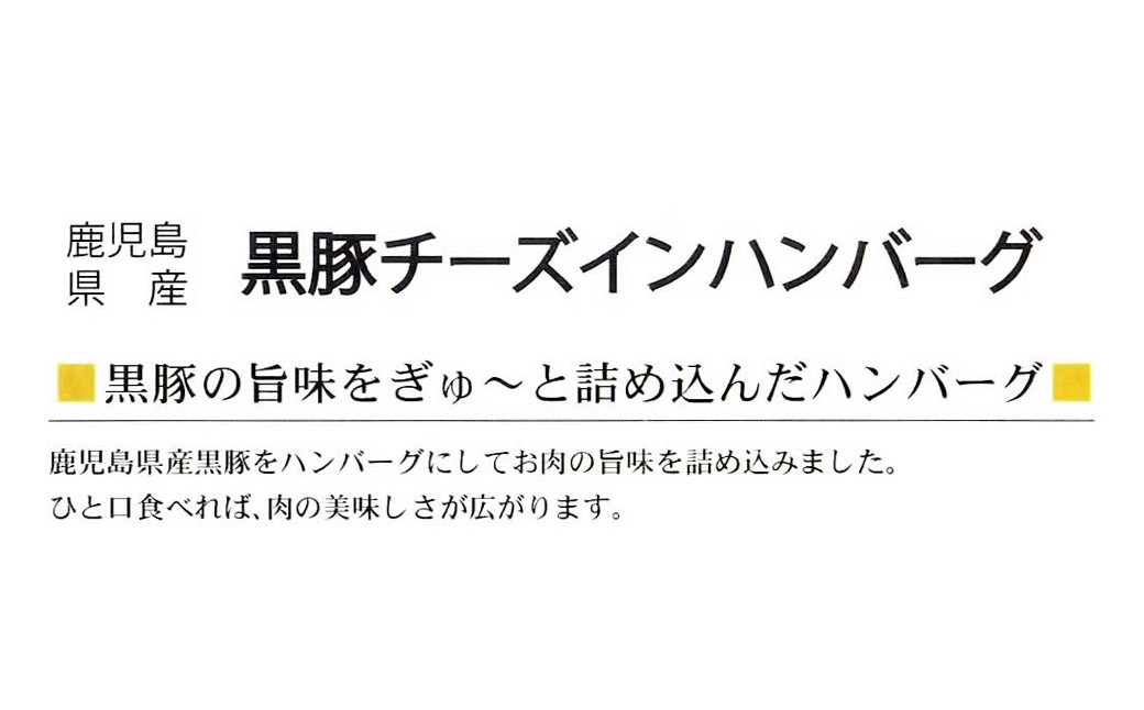鹿児島県産 黒豚 煮込み チーズインハンバーグ 180g×4個