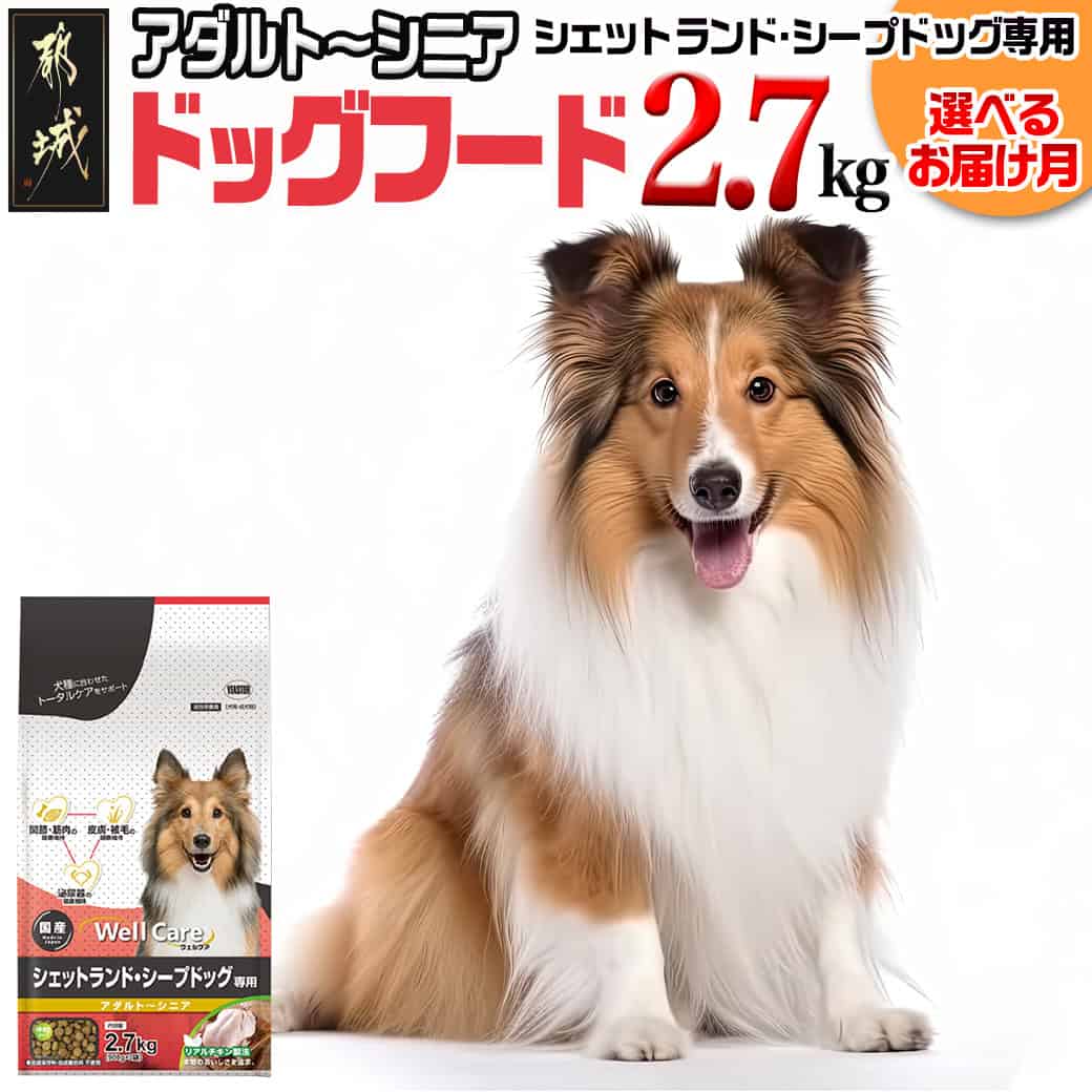 【ふるさと納税】【お届け月が選べる】ドッグフード(シェットランド・シープドッグ専用)アダルト〜シニア2.7kg - 国産 犬用フード ウェルケア 中粒タイプ ペットフード 予約 発送時期が選べる 犬 ごはん 送料無料 LF-3312 【宮崎県都城市は2年連続ふるさと納税日本一！】