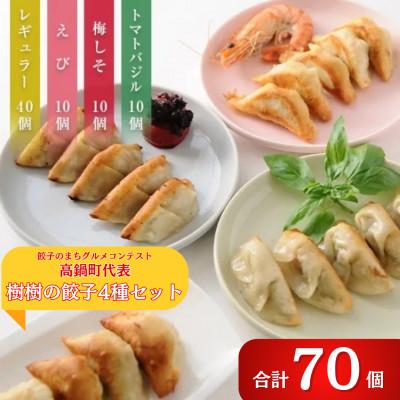 ふるさと納税 高鍋町 樹樹の餃子4種のセット 計70個