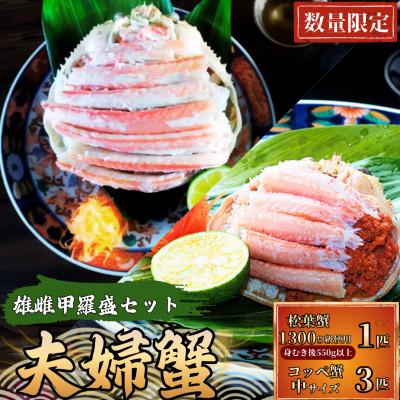 ふるさと納税 宮津市 夫婦蟹 甲羅盛セット 松葉蟹 ほぐし身(大)※活き蟹(1300g級)とコッペがに(中サイズ3個)