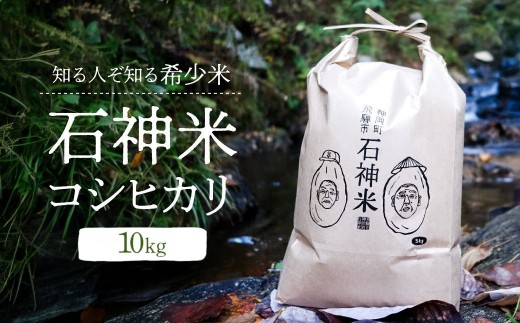 ＼数量限定！先行予約開始／令和8年産 飛騨の米 石神米 コシヒカリ10kg 特Aランク / こしひかり 白米 米 コメ こめ ご飯 精米 ごはん 石神 2026年 新米 飛騨市