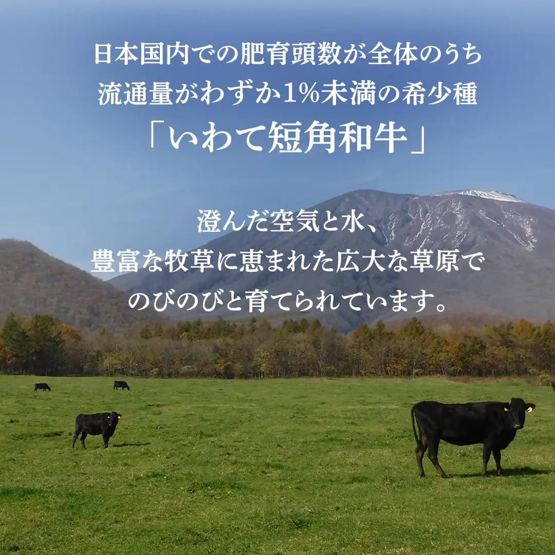いわて短角和牛 牛肉切り落とし 500g / 牛肉切り落とし (AB114) 【数量限定】