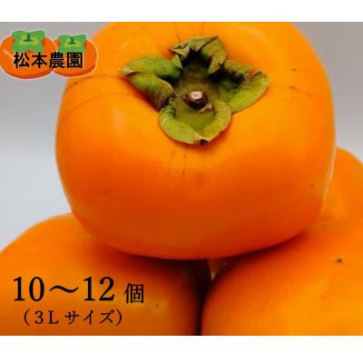 ふるさと納税 橋本市 【先行受付　2026年秋順次発送】秋の味覚のたねなし柿(3Lサイズ　10〜12個)
