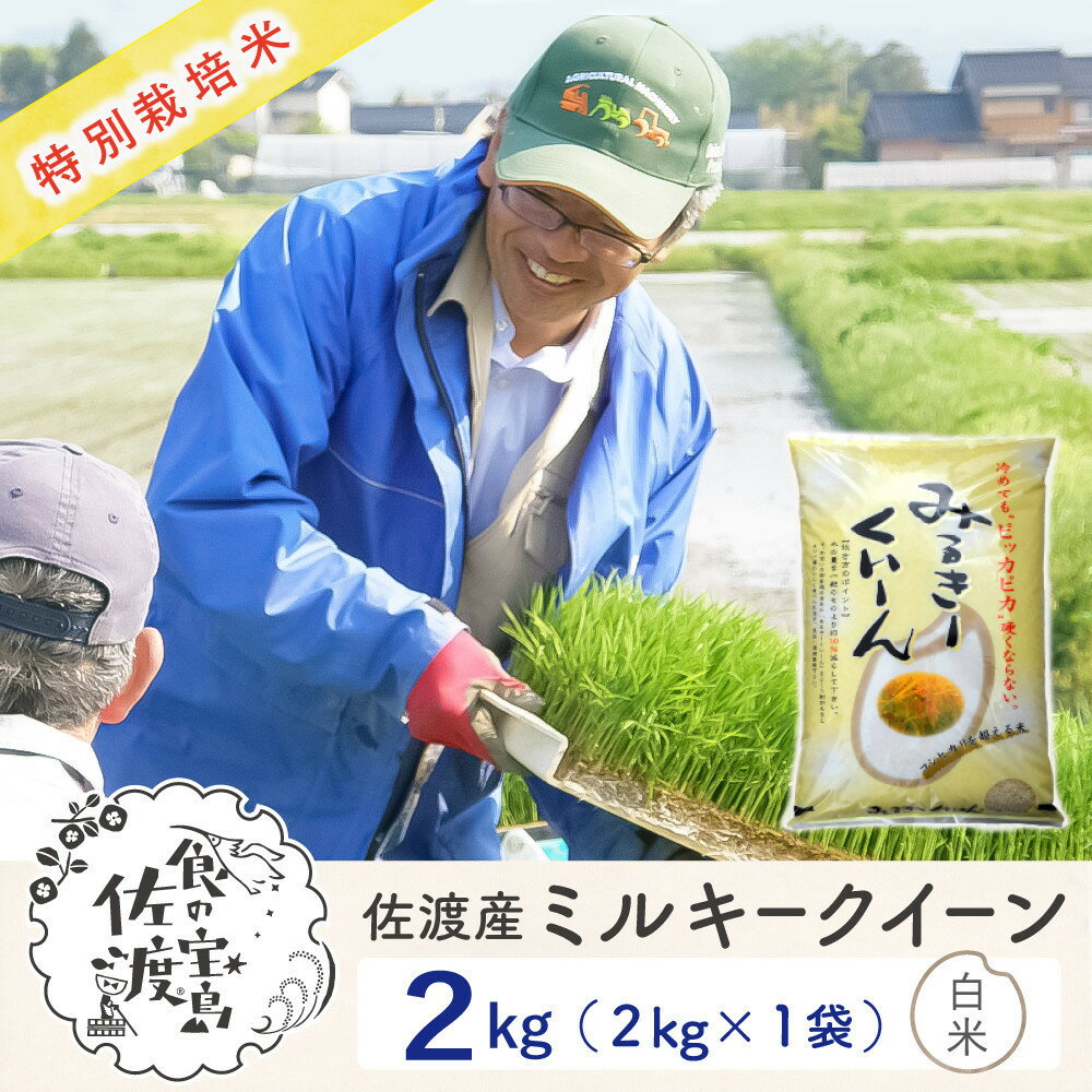 【ふるさと納税】佐渡島産ミルキークイーン 白米2Kg 令和7年産 特別栽培米