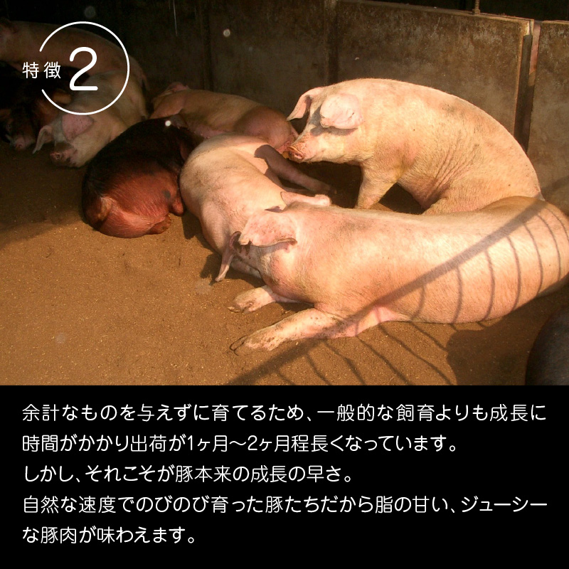 延岡よっとんバラブロック約1kg N003-YZA328-1_イメージ4
