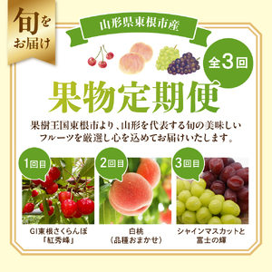 【2026年先行予約 全3回 定期便】東根市産 GI東根さくらんぼ、白桃、大粒ぶどう詰め合わせ 果物定期便　hi074-019 （令和8年産 2026年産 ふるさと納税 さくらんぼ チェリー 紅秀峰 