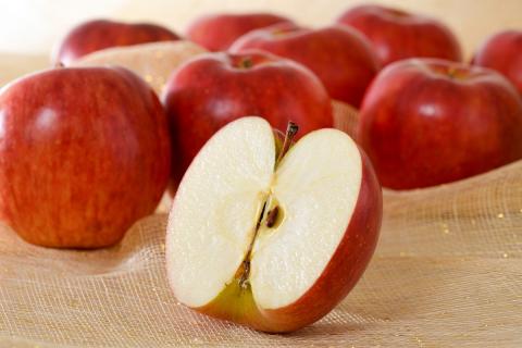 【2026年10月後半発送】 【訳あり】 りんご 青森産 約5kg 品種おまかせ1種