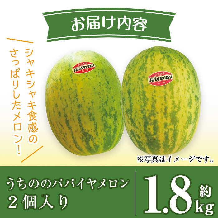 i456 ＜2026年4月中旬~5月中旬の間に発送予定＞うちののパパイヤメロン(計約1.8kg・2個入) メロン パパイヤメロン 果物 くだもの フルーツ 期間限定 数量限定 旬 立体栽培 シャキシャ
