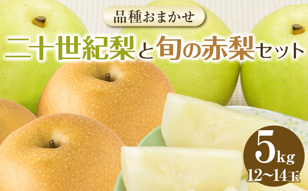 282.【先行予約】二十世紀梨と旬の赤梨セット　５ｋｇ◇　※2025年8月下旬～9月下旬頃に順次発送予定 313726_AN058