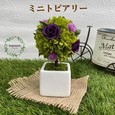 ふるさと納税 春日部市 プリザーブドフラワーアレンジ【プティシュシュ/パープル】春日部市 シュガーパイン
