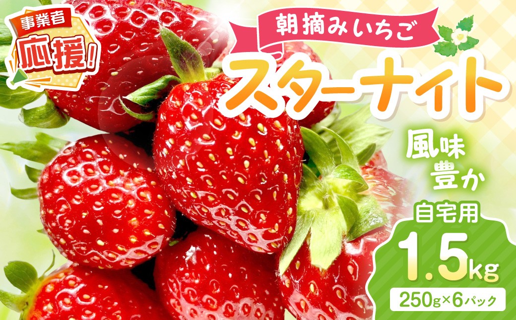 
                  【2027年1月～2027年4月発送予定】【自宅用】朝摘みいちご スターナイト 1.5kg【配送不可地域：北海道・沖縄・離島】【117D-006-2027】
                