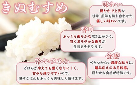 【期間限定寄附額】最高評価「特A」令和7年産 岡山県産米　「きぬむすめ」 10kg(5kg×2袋)　＜6月発送＞
