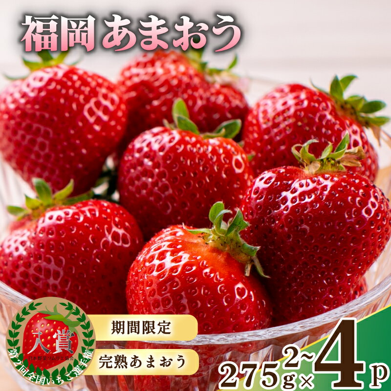 【ふるさと納税】 【2026年2月から発送予定】先行予約! 数量限定 福岡産 あまおう 約275g×2 / 4パック セット いちご 苺 イチゴ フルーツ 果物 くだもの 春 旬 福岡 九州 福岡県 川崎町 暖家のいちご