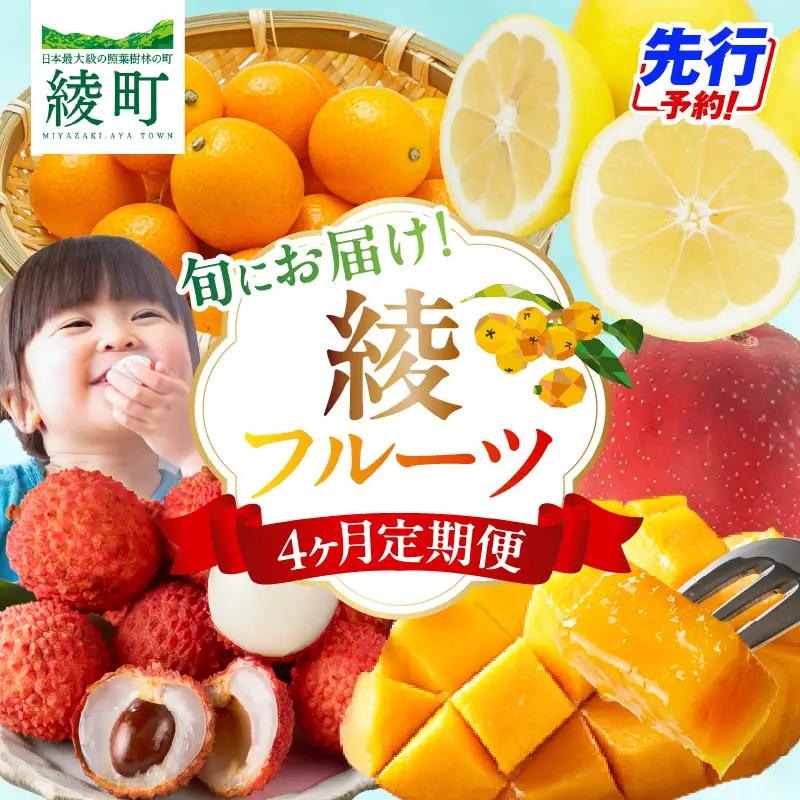 【4ヶ月定期便】 JA綾町 いつでもフルーツ定期便 《きんかん／日向夏／マンゴー／ライチ》 果物 フルーツ くだもの 柑橘 完熟きんかんたまたま 種なし 完熟マンゴー おすすめ おすそ分け おやつ スイーツ デザート 常温 産地直送 宮崎県 綾町 送料無料【JA綾町】_A0114-262
