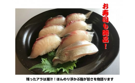 【配送日指定可】 アジ 新姫熊野しまあじ 1匹 下処理済み【冷蔵】あじ シマアジ 鯵 刺身 お刺身 さしみ 真空 海鮮 魚介 鮮魚 寿司 お寿司 しゃぶしゃぶ あじフライ アジフライ 水谷水産 三重県