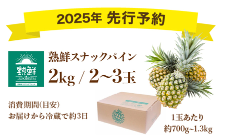 ２０２５年発送予約【手でちぎって食べる楽しさ】沖縄　西表島　熟鮮スナックパイン2㎏（2～3玉）