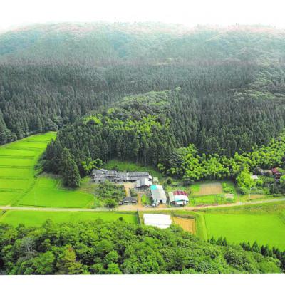 ふるさと納税 宮城県 宮城県認証米「だて正夢」「ひとめぼれ」「つや姫」精米 各10kg |  | 01