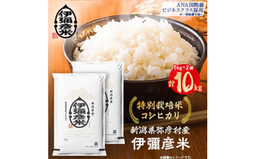特別栽培米コシヒカリ 伊彌彦米 10kg