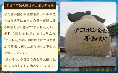 雑誌「MORE」掲載商品 不知火 訳あり品 9kg 【松川果樹園】【2025年3月上旬から4月下旬発送予定】しらぬい 柑橘