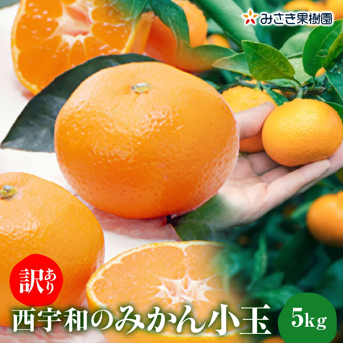 【ふるさと納税】【先行受付】【訳あり】西宇和みかん小玉5kg(小玉3S～Sサイズ込み)【C21-46】_【1676895】YWTBC027