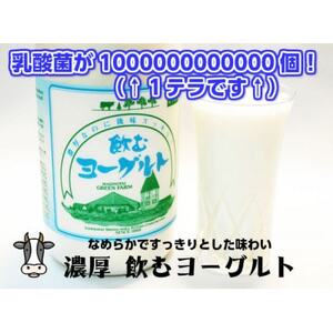 飲むヨーグルト 900ml×6本セット 乳酸菌が1テラ個の濃厚のむヨーグルト【配送不可地域：離島】【1691379】
