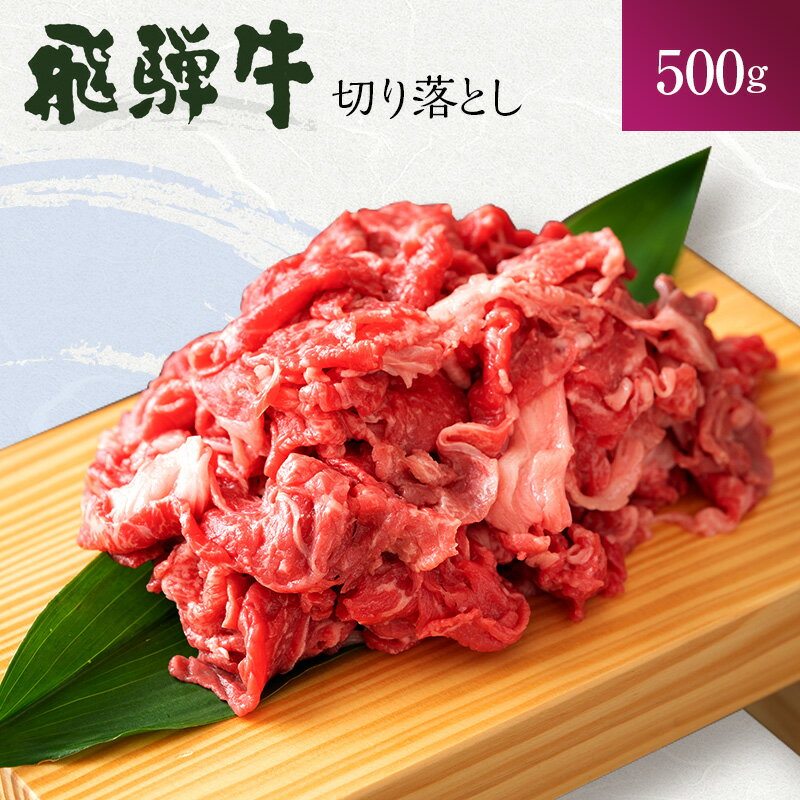 岐阜県海津市産 飛騨牛　すき焼き用　切り落し　500g　【お肉・牛肉・飛騨牛・すき焼き用・切り落し・スキヤキ・500g】