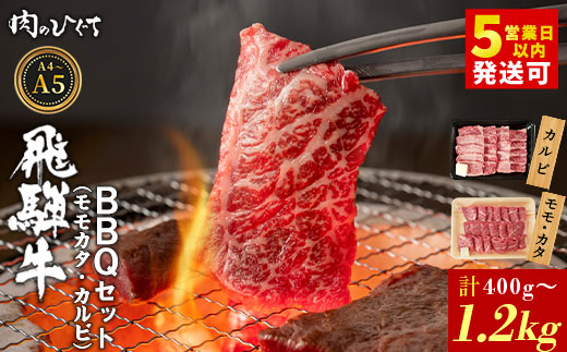
                   選べる！ 飛騨牛 BBQセット（カルビ・モモカタ） 400g～1.2kg A5 A4 国産 牛 冷凍 和牛 牛肉 カルビ もも モモ カタ 肩 かた 豪華 ギフト 贈答 にく お肉 肉 東白川村 岐阜 飛騨 贅沢 霜降り 赤身 肉のひぐち
                