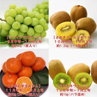 【フルーツ定期便】フルーツ王国さぬきの旬のフルーツを毎月１種類ずつお届け【G-9】