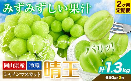 シャインマスカット 2ヶ月 定期便【先行予約】シャインマスカット 晴王 約650g 岡山県産《9月上旬-10月末頃出荷(土日祝除く)》 ハレノフルーツ マスカット 送料無料 岡山県 浅口市 フルーツ 果物 贈り物 ギフト 国産 岡山県産【配送不可地域あり】（北海道・沖縄・離島）