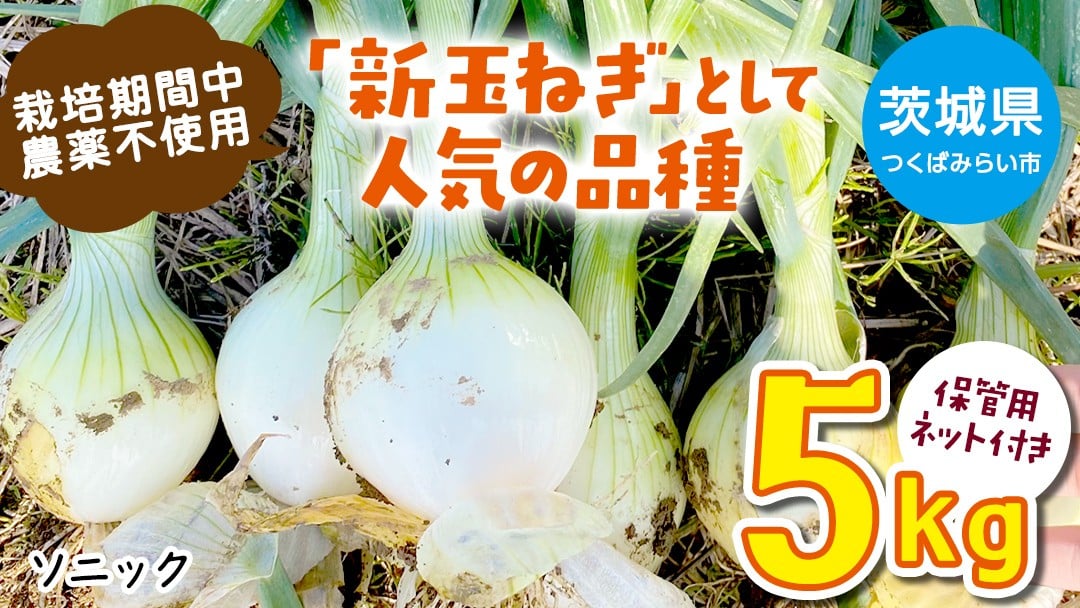 
                  【 先行予約 】つくばみらい市産 たまねぎ 5kg ( ソニック ) 保管に便利な貯蔵ネット付【2026年6月より発送開始】タマネギ 国産 茨城県産 甘い 辛くない 旨味 栽培期間中農薬不使用 大玉 サラダ スープ 箱売り キロ販売 業務用 大容量
                