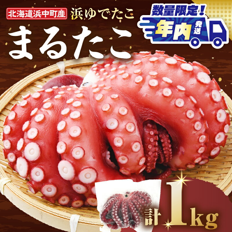 【ふるさと納税】【年内発送】≪期間・数量限定・発送時期が選べる≫浜ゆでたこ「まる たこ」1kg以上×1袋 北海道 浜中町産 新物 たこ タコ 一匹 一杯 1匹 下足 刺身 唐揚げ おかず おつまみ 真空パック 国産 海鮮 海の幸 海産物 新鮮 人気 おすすめ 贈り物 ギフト 送料無料