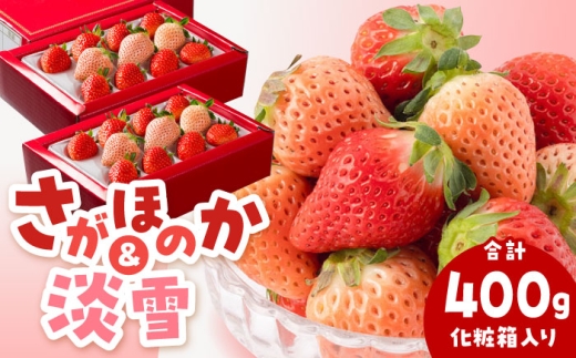 【2026年1月以降発送】淡雪＆さがほのか 赤白 いちごセット200g × 2パック 合計400g（化粧箱入り） 【岸川農園】 いちご 苺 イチゴ さがほのか あわゆき 淡雪 淡雪いちご しろいちご 白苺 しろ 白 食べ比べ フルーツ 果物 甘い あまい  アフター対応 アフターフォロー 期間限定 産地直送 国産 佐賀県産 さがいちご 九州 佐賀県 白石町  白石 [IAP032]