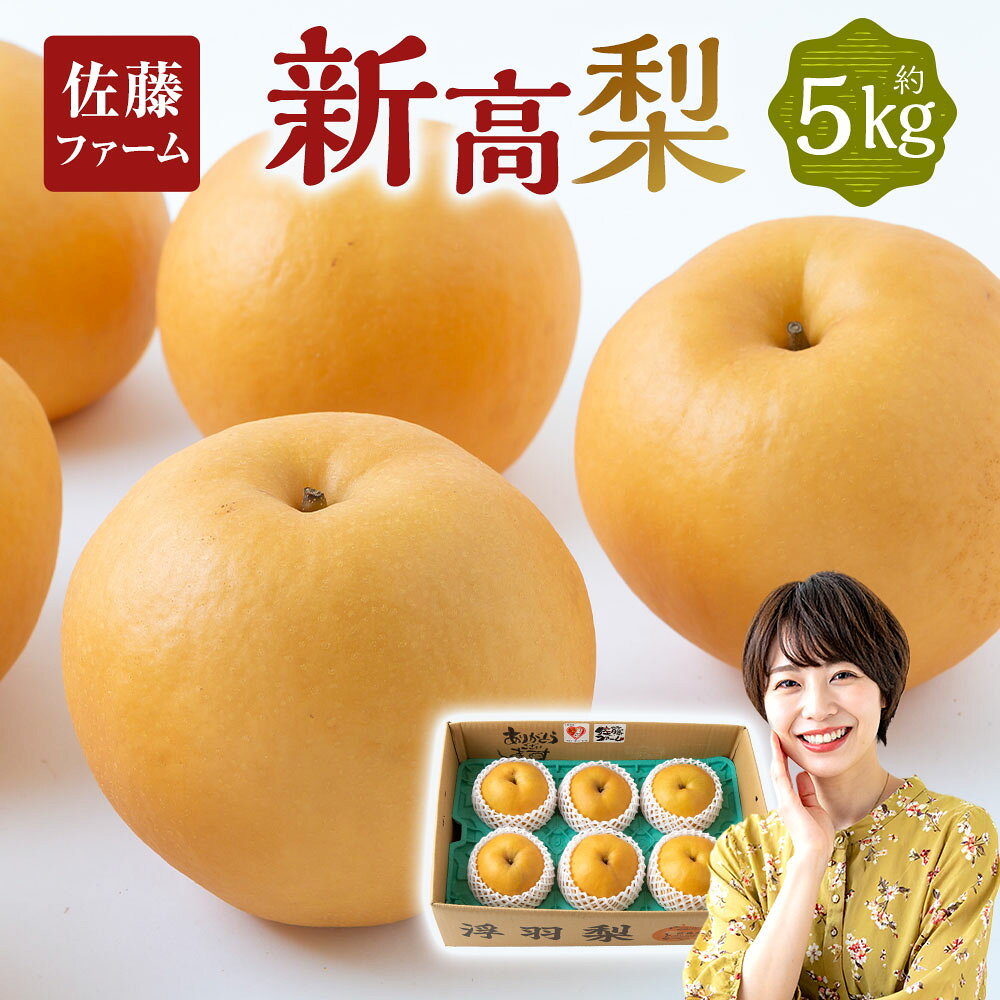 【ふるさと納税】【先行予約】佐藤ファーム 新高梨 5玉～8玉 （約5kg） 【2026年9月下旬～10月上旬より順次発送予定】 梨 なし ナシ フルーツ 新高 にいたか 大玉 果実 果物 常温 送料無料 福岡県 うきは市