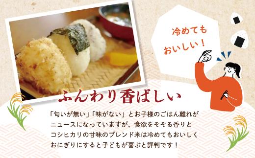 米 10kg 【 新米 令和7年産 】コシヒカリ 香り米 ヒエリ 入り 四万十のかおり 5kg ×2袋 国産 こしひかり 早期受付 ブレンド 精米 白米 ごはん おいしい もちもち 高知県 四万十市 