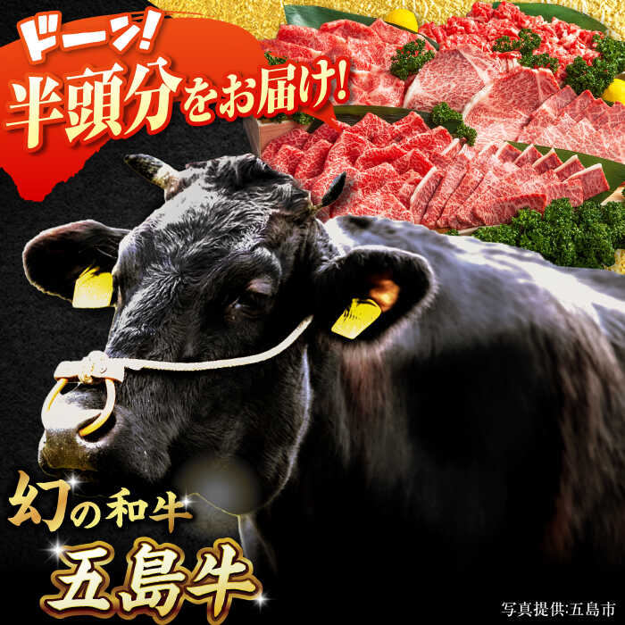 【ふるさと納税】五島牛 半頭分 五島市/ごとう農業協同組合[PAF023] 牛肉 国産 和牛 大容量 ブランド牛 冷凍