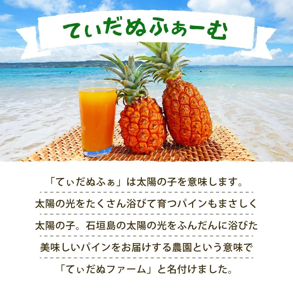 パイン収穫体験参加クーポン