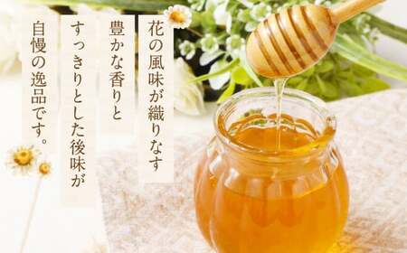 【3ヶ月定期便】MINOKAMO HONEY はちみつ 1本（300g）×3回 ｜ 藤井養蜂 蜂蜜 非加熱 百花蜜 国産 甘味料 定期便 美濃加茂市