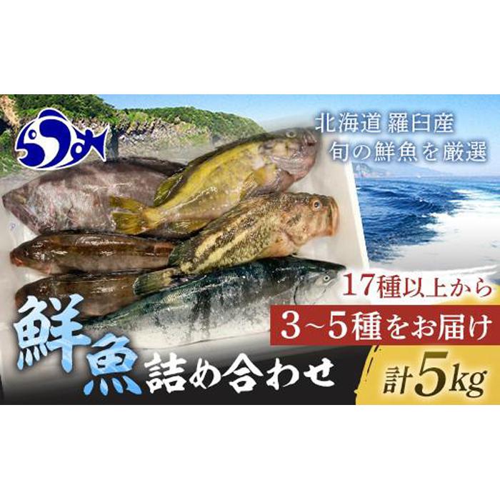 知床羅臼産 鮮魚詰め合わせA　約5kg 魚 さかな 旬の魚 鮮魚 羅臼町 北海道 生産者 支援 応援