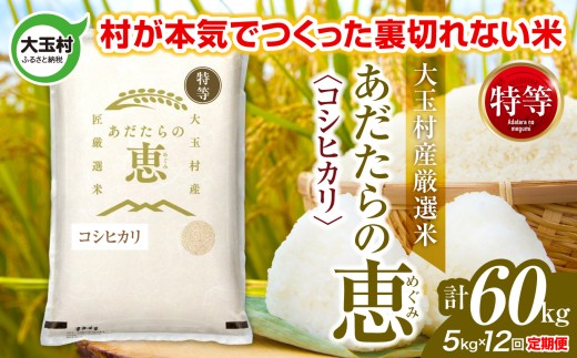 米 大玉村産厳選米「あだたらの恵」特等（品種：コシヒカリ） 計60kg 《 令和7年産  》 定期便 ( 全12回 × 5kg ) ｜ 福島 大玉村 お米 米作り こしひかり 令和7年 精米 白米 こめ コメ ご飯 送料無料 大玉村農業振興公社 ｜ on-akt-5kg-t12-r7
