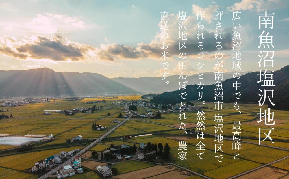 【令和7年産】【定期便】南魚沼塩沢産コシヒカリ「然然」　農薬5割減栽培　精米5kg x 全12回