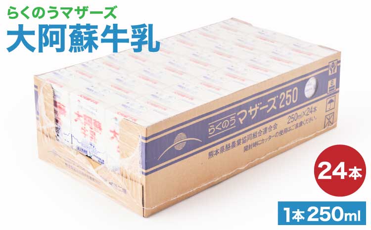 大阿蘇牛乳 250ml×24本 1ケース 生乳 100% ミルク 成分無調整牛乳