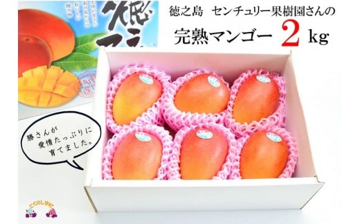 649 ≪先行予約≫徳之島センチュリー果樹園の完熟マンゴー（2㎏）（4玉～6玉） ( マンゴー フルーツ 果物 完熟 無加温 徳之島 世界自然遺産 美味しい とろける 旬 贅沢 糖度 南の島 )